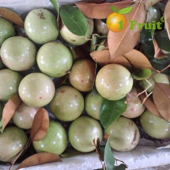 Vú Sữa Lò Rèn